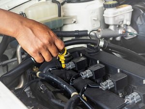 Services